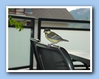 Klicken zum vergr�ssern
