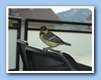Klicken zum vergr�ssern